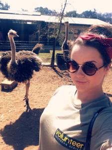 Ostrich selfie